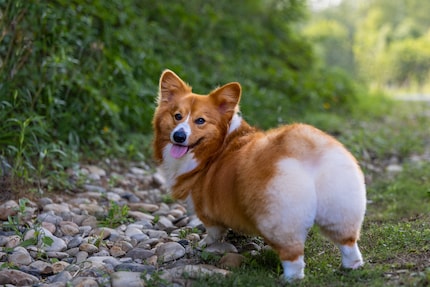 Prendi questo, Kim!