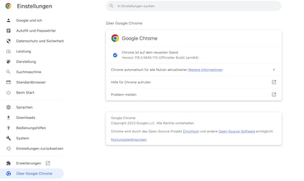 Nel menu « Informazioni su Google» puoi anche impostare l'installazione automatica degli aggiornamenti in futuro.