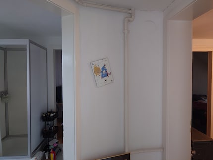 Image without zoom. Yes, the frame is tilted...