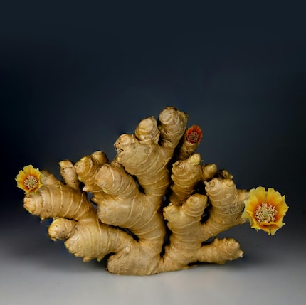 Ginger contains gingerol, which helps combat fatigue thanks to its antioxidant and anti-inflammatory properties.