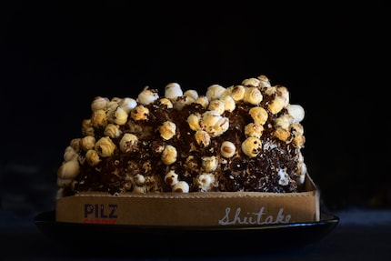 Le teste dei funghi iniziano a spuntare dal terreno.