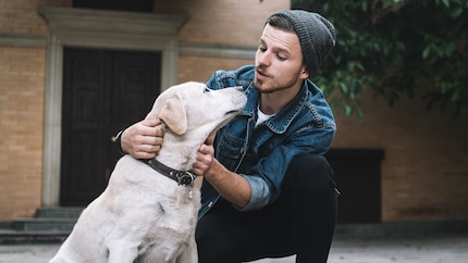 Presto potremo comunicare con i nostri cani tramite l'app Zoolingua? Il dottor Con Slobodchikoff, comportamentista animale, ritiene che sia del tutto possibile grazie alle nuove tecnologie e sta lavorando con il suo team per sviluppare un'app di questo genere.