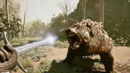 «Avowed» di Obsidian è solo uno dei tanti potenziali successi per Xbox.