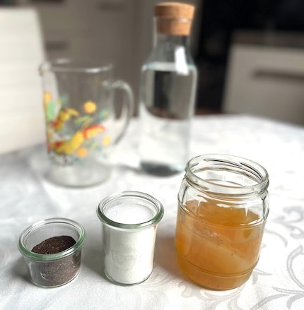 Gli ingredienti per il kombucha fai da te: scoby, zucchero, tè e acqua.