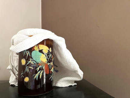 Il preparato del mio kombucha può ora fermentare a temperatura ambiente.