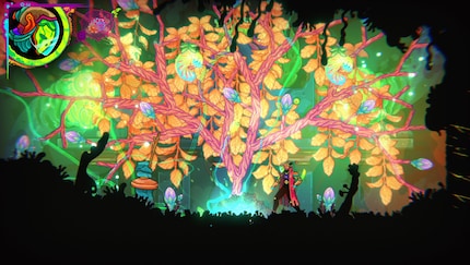 Dove pochi secondi prima non c'era nulla, ora c'è un magnifico albero.