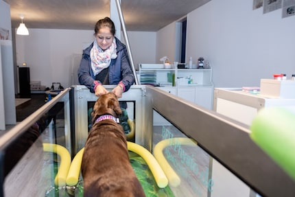Supergirls don't cry: Saida accetta di fare aquafit con un po' di corruzione.