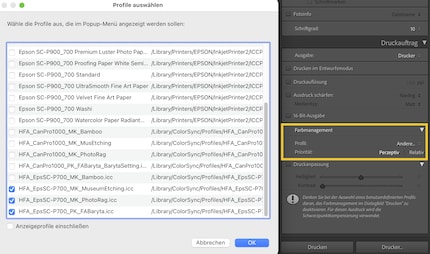 In Lightroom, puoi selezionare dall’elenco dei profili colore installati quello che dev’essere visualizzato nella gestione colore.