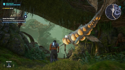 Later on, I’ll be able to use Galenta as a flying mount.