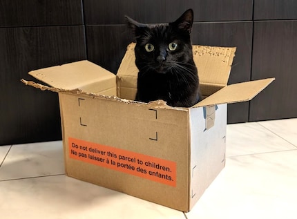 Nero ha letteralmente perforato il coperchio.