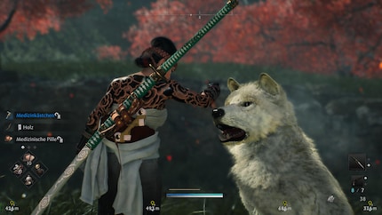In «Rise of the Ronin» ci sono anche cani amichevoli che mi conducono a tesori nascosti. Che carini!