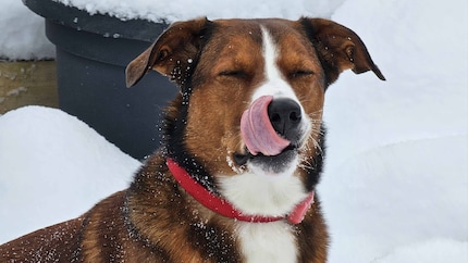 Slurp.