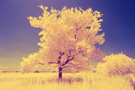 Come variante del miscelatore di canali, che produce colori più caldi.