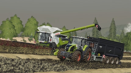 Michelle preferirebbe arare il campo a mano piuttosto che giocare ancora a «Farming Simulator».