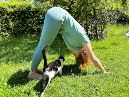 È ancora più appagante in giardino con il sole e i gatti.