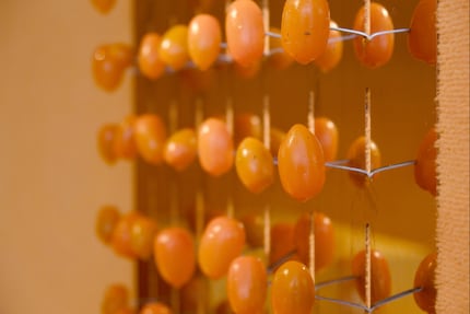 L'utilizzo di elementi ripetitivi crea un impressionante gioco di forme e colori.