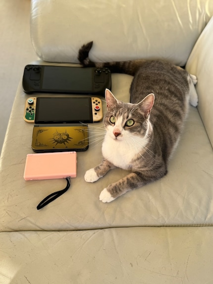 Le dimensioni di Nintendo DS Lite, Nintendo 3DS XL, Switch e Steam Deck a confronto. La lunghezza di un gatto come metro di misura.