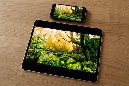 Smartphone come l'iPhone 15 Pro (sopra) possono tenere il passo con l'OLED tandem. Su display così piccoli, tuttavia, la qualità delle immagini non è così impressionante come sull'iPad da 13 pollici.