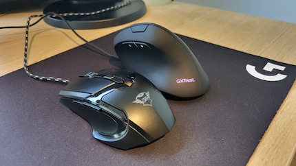 My mice compared side by side.