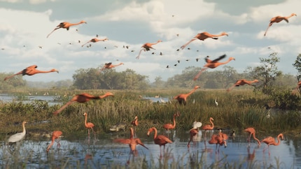 Tanti animali in una volta sola! La natura di «GTA VI» è fantastica.