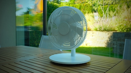 Con un diametro di 46 centimetri, «Finn» nella versione da ventilatore da tavolo è sproporzionato e occupa troppo spazio.