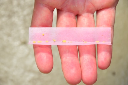 No, this isn’t filter paper for rolling a joint. It’s for hatching predatory mites.
