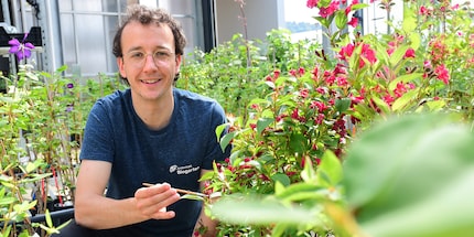 Silvan Bosshard with his favourite beneficial insect, the two-spotted ladybird.