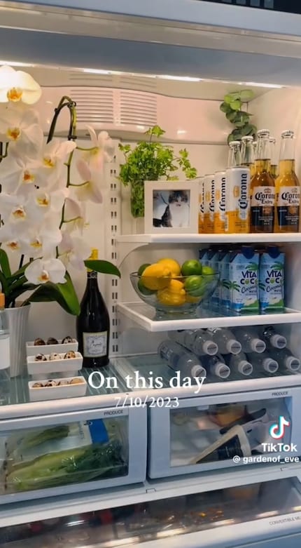 Influencer come Tiffany Bishop, Lynzi Judish e Eve Scampoli portano avanti la tendenza del Fridgescaping.