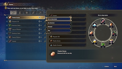 Il menu di navigazione non è sempre intuitivo. Per utilizzare gli oggetti in battaglia, ad esempio, devo prima assegnarli nel menu.
