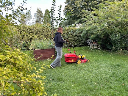 Doubly effective: when I mow the lawn, my pedometer jumps for joy and I don’t put off the gardening.