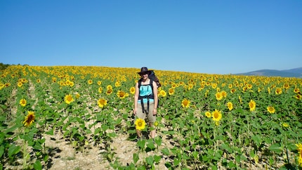 Alcuni giorni c'è il sole puro quando si percorre il Cammino di Santiago.