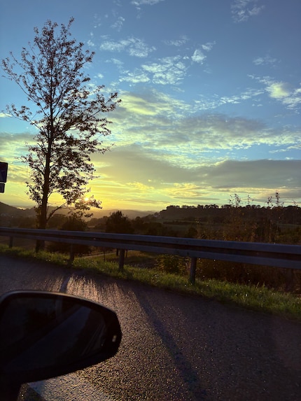 La luce non mette in risalto tutto.
