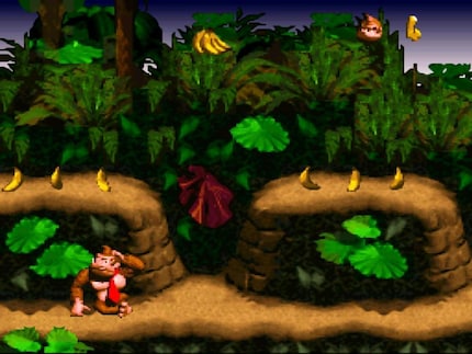 Questo sono io che mi chiedo che cosa ci trovano tutti di tanto divertente in «Donkey Kong Country».