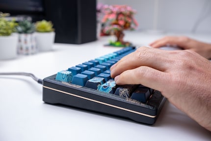 È così bella che digitare è semplicemente un piacere.