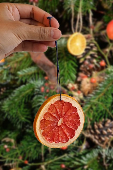  … and hanging the dried grapefruit on my Christmas tree. 