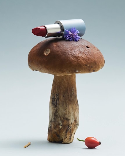 One of the images from Sophia’s ingredient shoot: the hyaluronic acid in this lipstick is extracted from mushrooms.