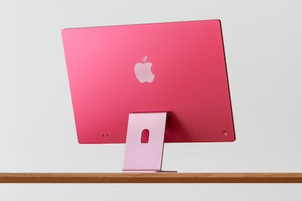 Il rosa del retro salta all'occhio. La base e la parte anteriore sono invece di un rosa piuttosto pallido.