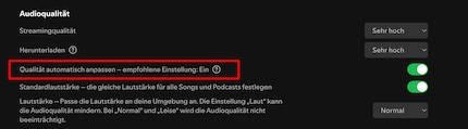 Puoi impostare i livelli di qualità su Spotify sotto «Qualità audio».
