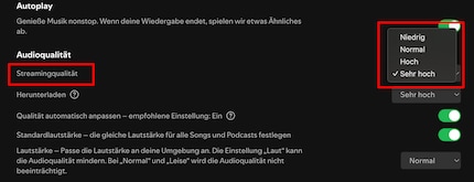Se la copertura di rete è scarsa, Spotify può ridurre la qualità ad hoc.