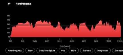 Lo stesso giro nell'app Garmin.