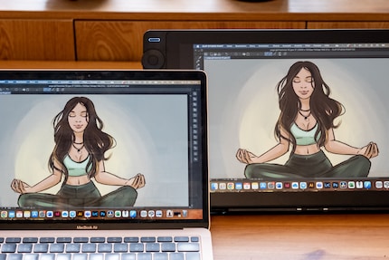 Il display è già calibrato e mostra i colori quasi come un notebook.