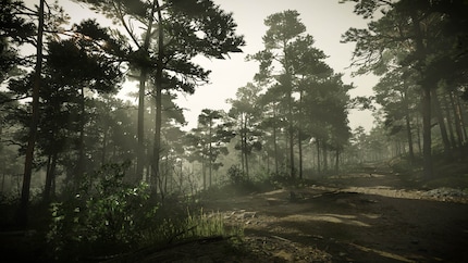 If forests and green meadows don’t excite you, you’ll have a hard time with Kingdom Come Deliverance 2.