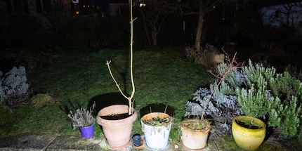 I 300 lumen dell'«FR300» vanno bene, ma non bastano in caso di buio totale.