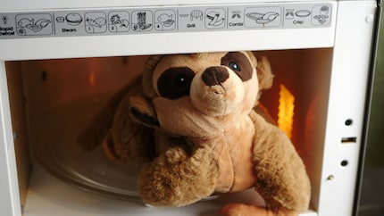 No, he’s not burnt! My Warmie already had the dark circles around his eyes before he went in the microwave.
