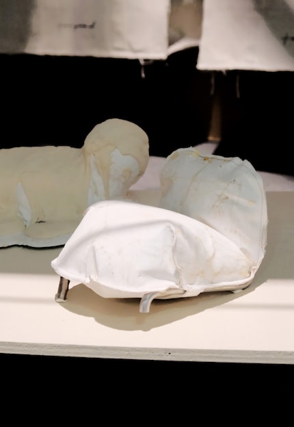 L'installazione si suddivide in quattro sezioni: disegno, scultura, materiali e paesaggio.