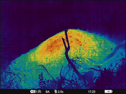 A huge anthill seen through the Telos XL50 thermal imaging device using the colour setting Rainbow.