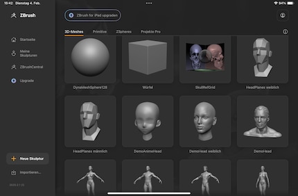 Modelli 3D: dalla sfera al corpo intero.