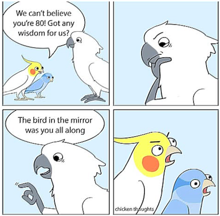 Il cacatua e il suo coinquilino blu sono completamente sbalorditi quando il cacatua dice loro la verità.
