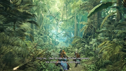  Graficamente, «Monster Hunter Wilds» colpisce soprattutto per le sue bellissime aree e gli enormi mostri.