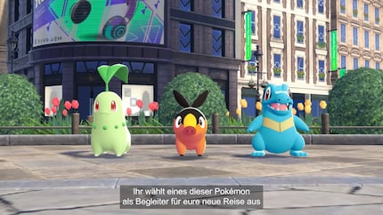 Sono indeciso tra Chikorita (a sinistra) e Totodile (a destra). Ma anche Tepig (al centro) è carino.